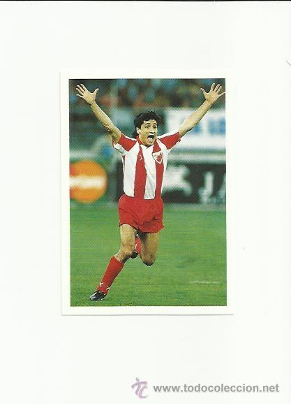 Fu&szlig;ball-Sticker: 65 PANCEV ESTRELLA ROJA - CROMO LIBRO CAMPEONES EUROPA MARCA 1999 -