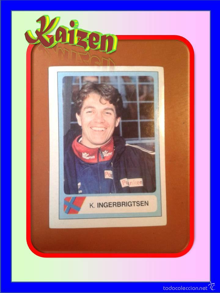 Cromos de F&uacute;tbol: CROMO DE LA COLECCION: MUNDIAL DE FUTBOL USA 94. EDICIONES ESTADIO. A&Ntilde;O 1994. SIN PEGAR. N&ordm; 343