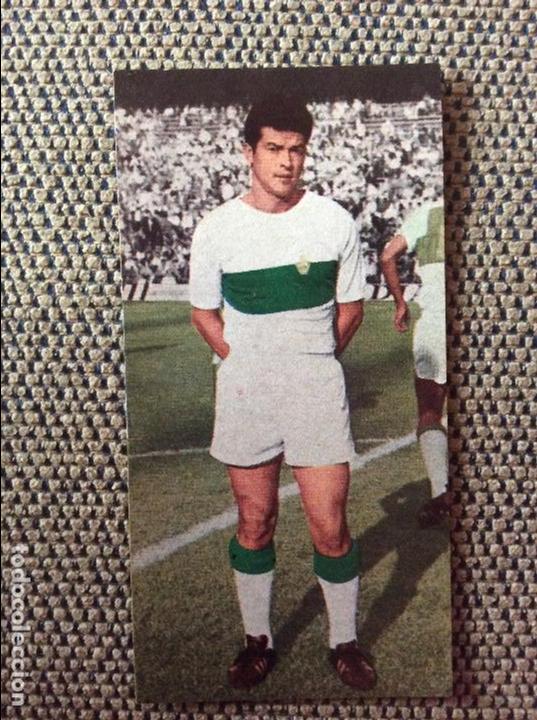 Cromos de f&uacute;tbol: JCR Campeonatos Nacionales Futbol 1970. Ruiz Romero 69/79. Elche. 144 Lezcano