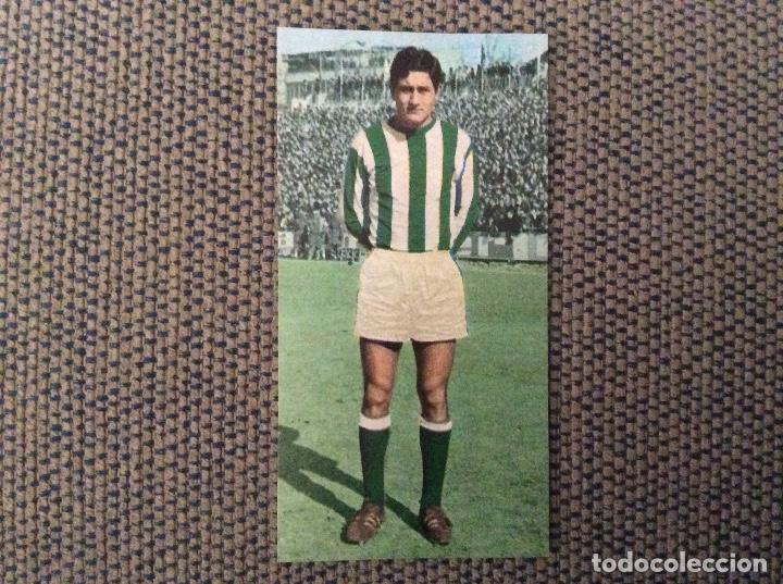 Cartes &agrave; collectionner de Football: JCR Campeonatos Nacionales Futbol 1970. Ruiz Romero 69/79. Betis. 376 Gonzalez