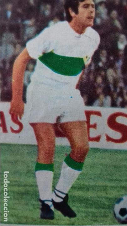 Football Stickers: ed fher DISGRA cromo futbol SIN PEGAR NUNCA 76 75 1976 1975 ELCHE C. F. CANO *