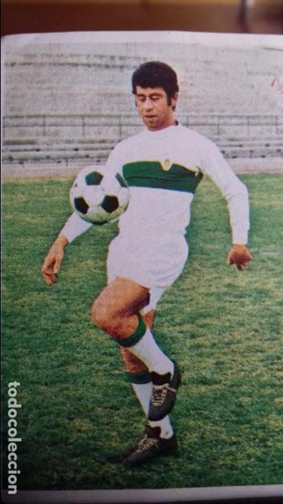Figurine di Calcio: ed fher DISGRA cromo futbol SIN PEGAR NUNCA 76 75 1976 1975 ELCHE C. F. GONZALEZ