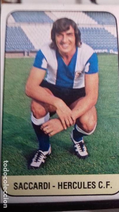 Cromos de F&uacute;tbol: ED ESTE CROMO Saccardi. SIN PEGAR NUNCA 1979 78 1978 79