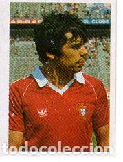 Figurine di Calcio: EUROCOPA 1984. MANUEL JOSE TAVARES FERNANDEZ. N&ordm; 114. DESPEGADO.