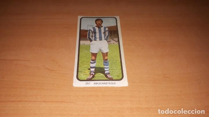 Cromos de F&uacute;tbol: Cromo amuchastegui