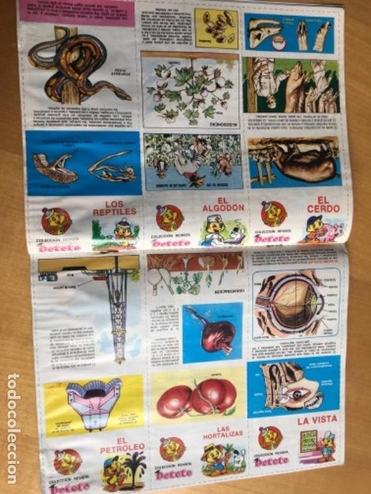 Cromos de f&uacute;tbol: Petete 147 - Foto 3
