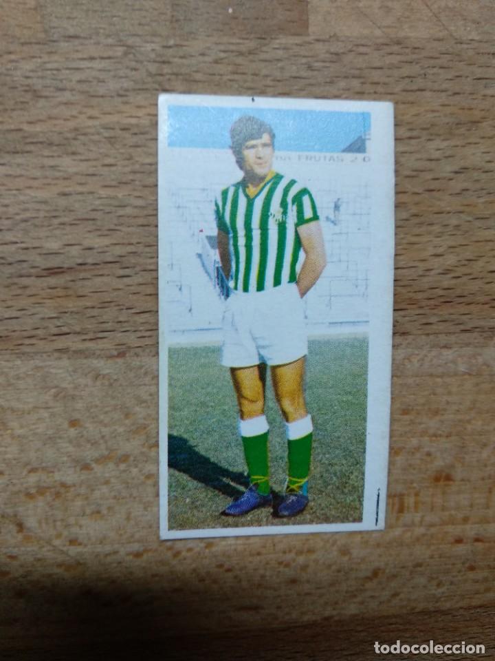 Cromos de f&uacute;tbol: ESTE 75-76 CROMO NUNCA PEGADO EN PERFECTO ESTADO BIOSCA - Foto 1