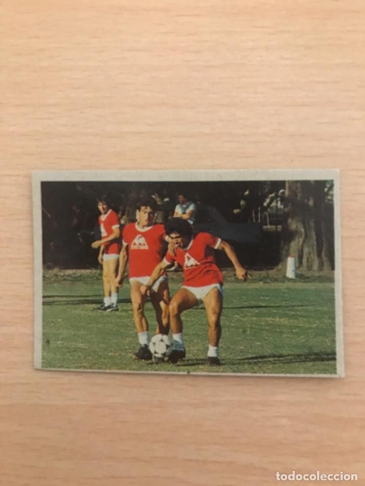 Cromos de f&uacute;tbol: MARADONA cromo - Foto 1