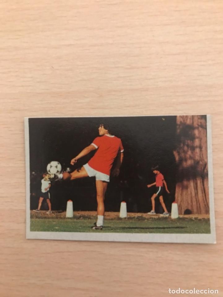 Cromos de f&uacute;tbol: MARADONA cromo - Foto 1