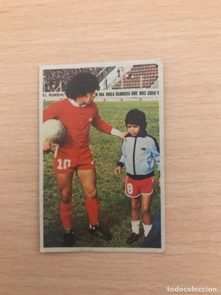 Cromos de f&uacute;tbol: MARADONA cromo - Foto 1