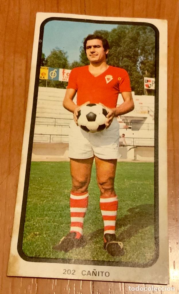 Cromos de F&uacute;tbol: CROMO CAMPEONATOS NACIONALES DE F&Uacute;TBOL 1973-1974 CA&Ntilde;ITO MURCIA CF DESPEGADO