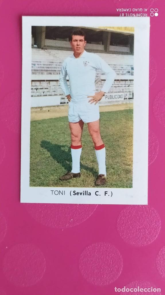 Cartes &agrave; collectionner de Football: TONI SEVILLA FHER 70 71 1970 1971 RECUPERADO