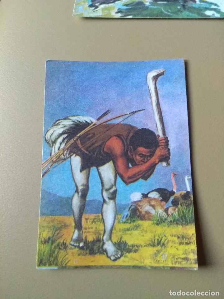Cromos de F&uacute;tbol: BIMBO EL LIBRO DE LAS ADIVINANZAS 2 N&ordm; 28 sin pegar