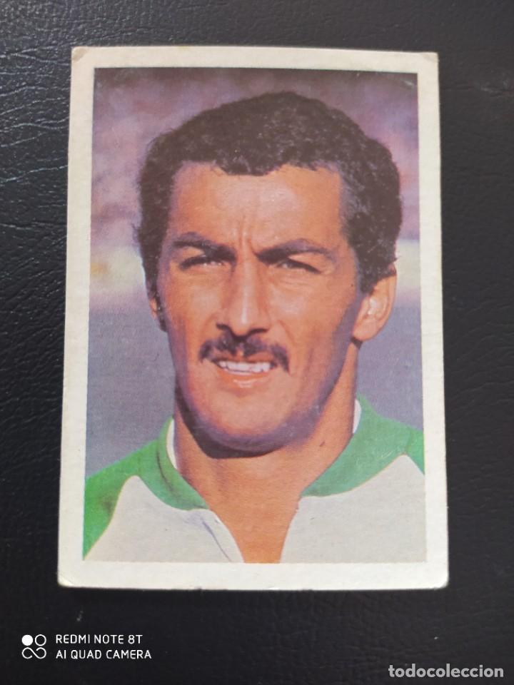Cromos de f&uacute;tbol: 35 KACI SA&Iacute;D AREGELIA FHER WORLD CUP MUNDIAL ESPA&Ntilde;A 82 1982 ESPA&Ntilde;A82 SIN PEGAR