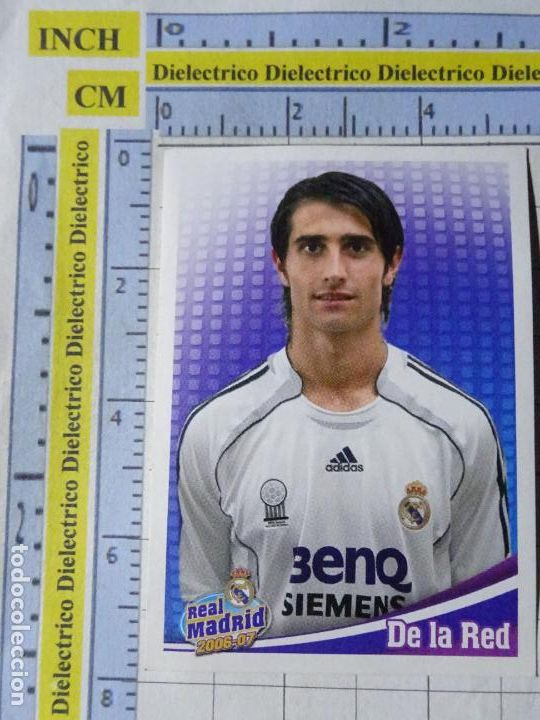 Cromos de f&uacute;tbol: CROMO DEL REAL MADRID CLUB DE F&Uacute;TBOL. 2006 2007. PANINI. 115 DE LA RED