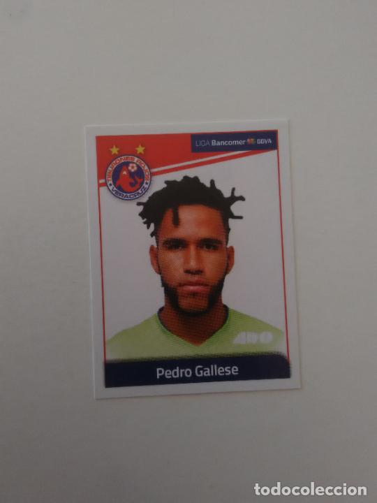 Cromos de f&uacute;tbol: 245 PEDRO GALLESE TIBURONES VERACRUZ CROMO PANINI M&Eacute;XICO F&Uacute;TBOL 17-18 APERTURA 2017 CLAUSURA 2018
