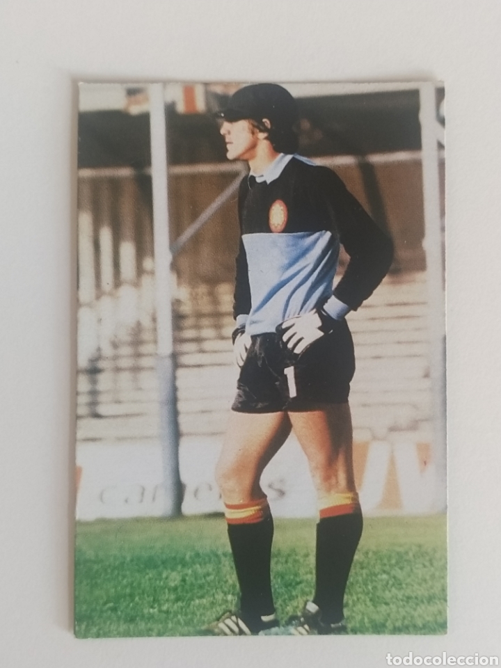 Cromos de f&uacute;tbol: ARCONADA Selecci&oacute;n Espa&ntilde;a - Foto 1
