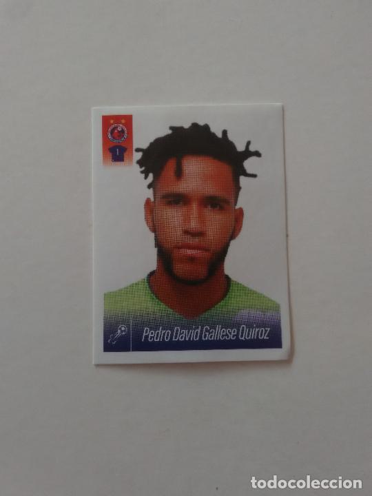 Cromos de f&uacute;tbol: 257 PEDRO DAVID GALLESE QUIROZ TIBURONES STICKER CROMO PANINI LIGA M&Eacute;XICO F&Uacute;TBOL 16-17 2016-2017