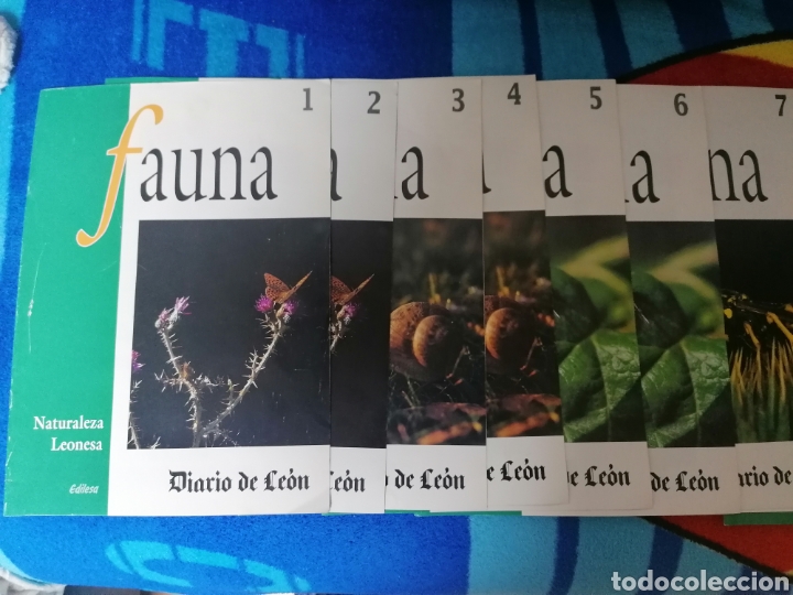 Cromos de F&uacute;tbol: 15 l&aacute;minas Fauna Diario de Le&oacute;n