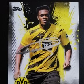 jörg heinrich borussia dortmund panini los mejo - Compra venta en jörg heinrich borussia dortmund panini los mejo - Compra venta en