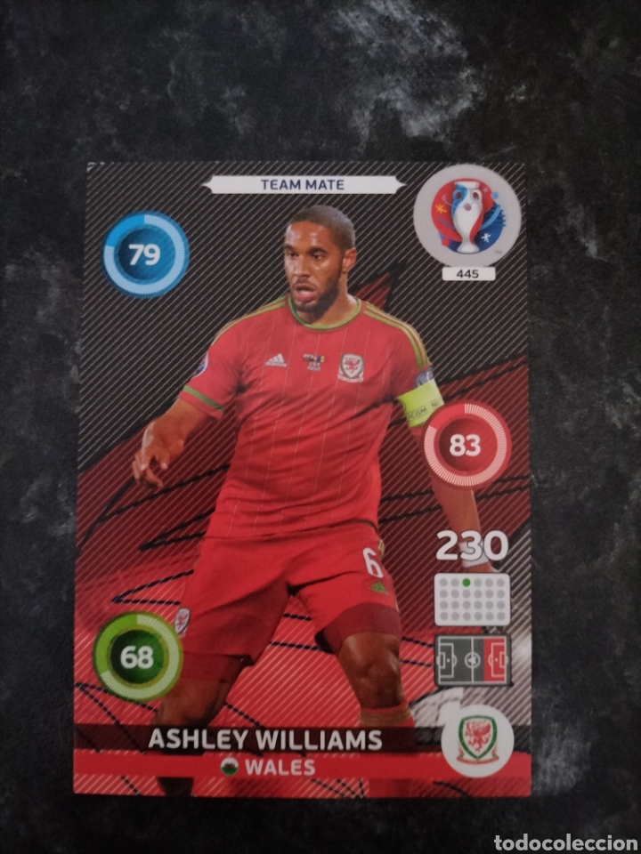 Fu&szlig;ball-Sticker: N&deg;445 Ashley Williams Adrenalyn XL Euro 2016 Panini