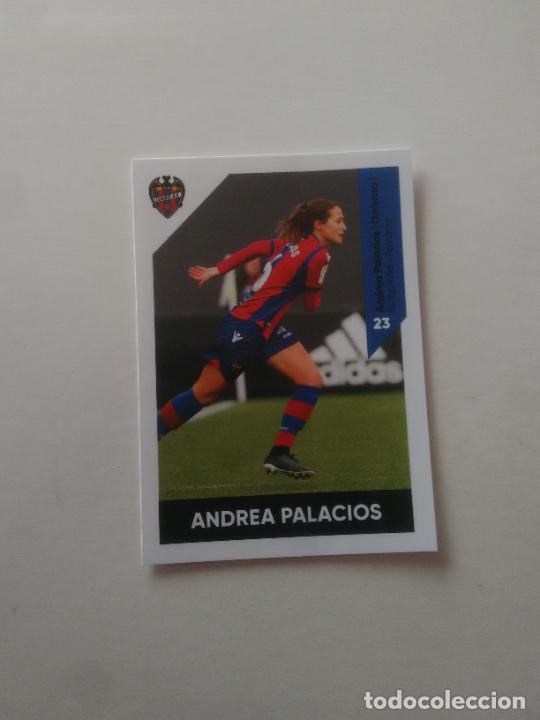 Colección discount andrea 2020