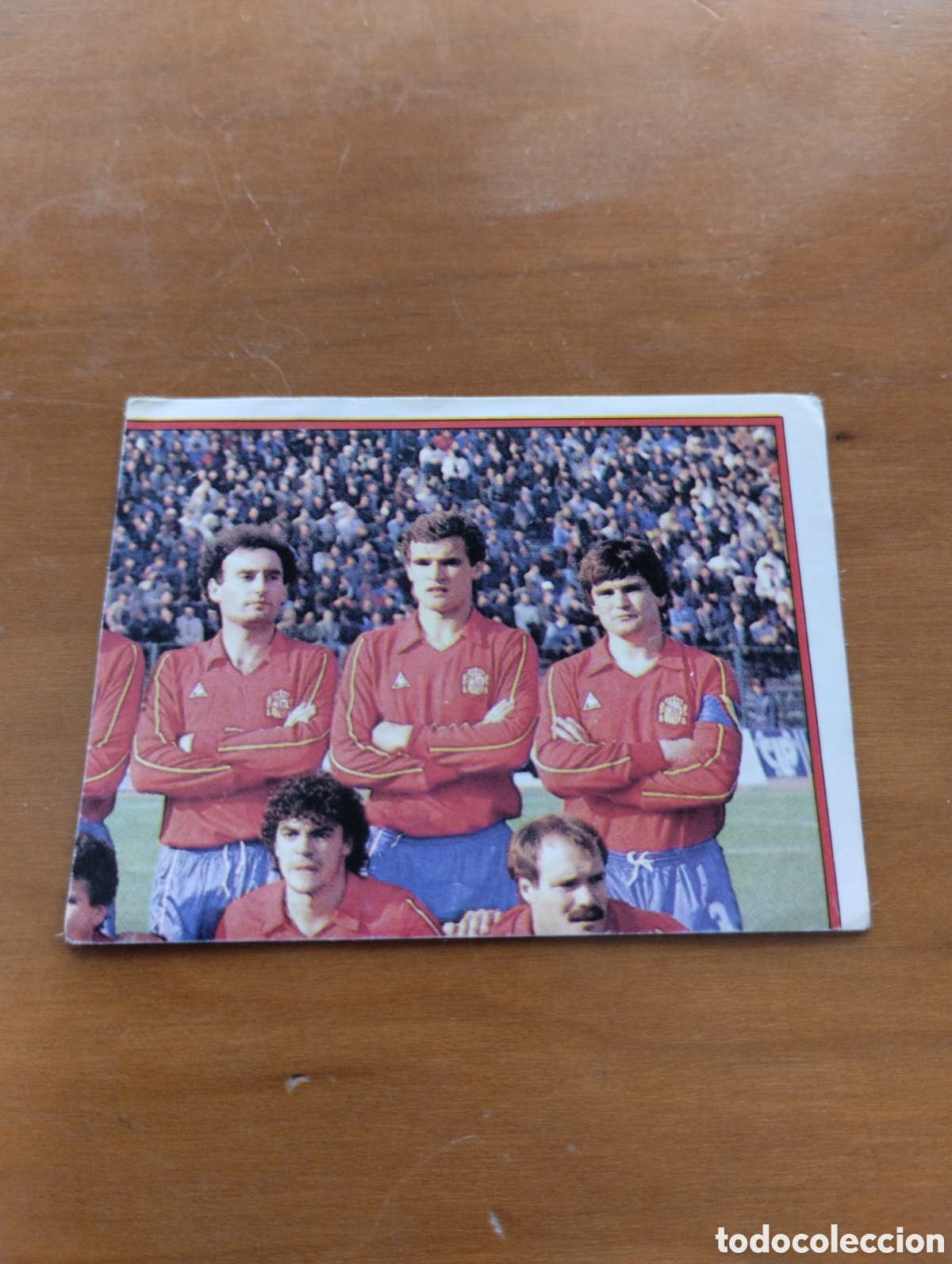 Cromos de f&uacute;tbol: FUTBOL 88 FOTO PLANTILLA SELECCION ESPA&Ntilde;A N&deg;2 . FUTBOL 88 PANINI 88. NUNCA PEGADO