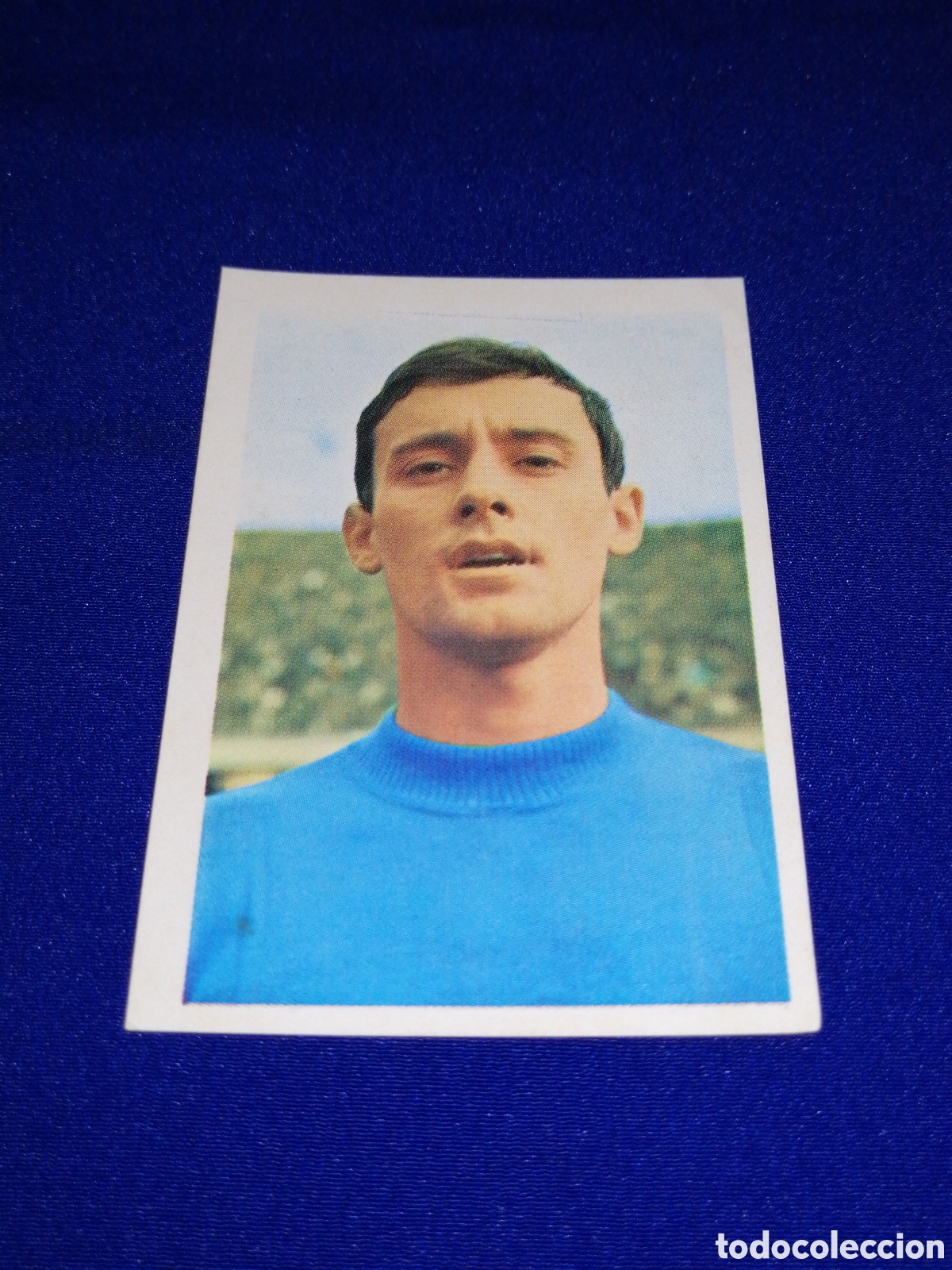 Figurine di Calcio: ASES DEL IX MUNDIAL DE F&Uacute;TBOL ROBERTO ROSATO