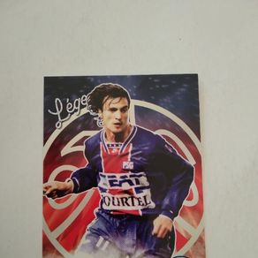 091 CEDRIC DAURY LE HAVRE HAC CARTE PANINI UNFP FOOTBALL CARDS 1994 091 CEDRIC DAURY LE HAVRE HAC CARTE PANINI UNFP FOOTBALL CARDS 1994