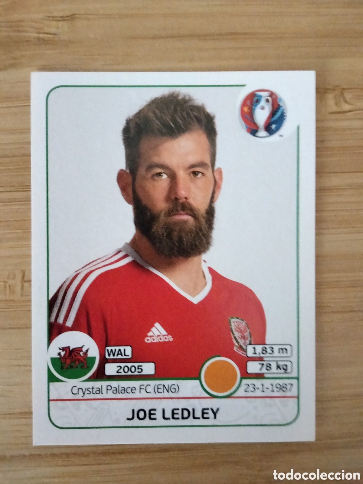 Football Stickers: JOE LEDLEY 192 WALES GALES EURO 2016 UEFA EUROCOPA FRANCE 16 PANINI NUEVO SIN PEGAR