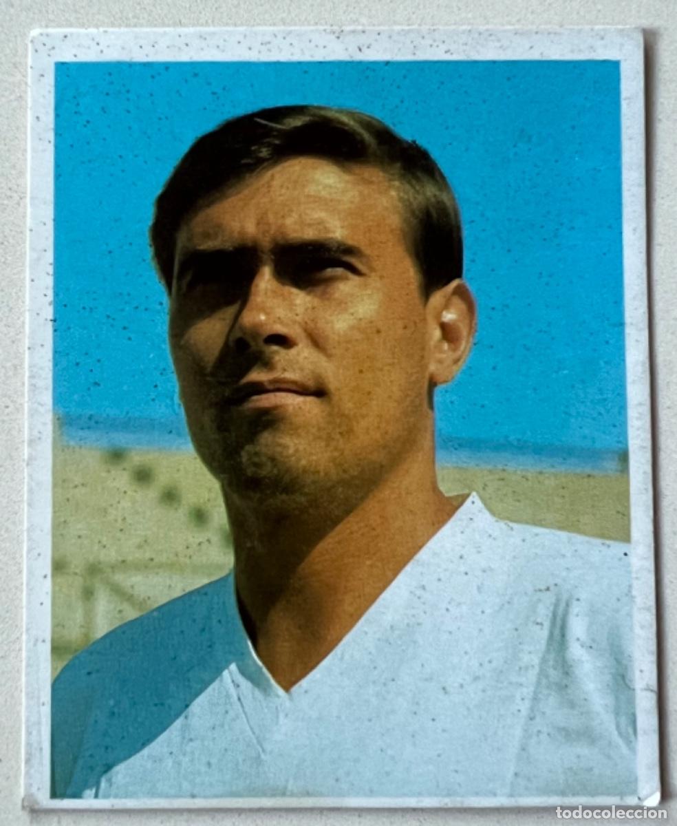 Cromos de Futebol: Serena (Elche Club de Futbol) N&deg; 97 - Campeones Liga 1968 - 1969 (68 - 69) - Bruguera