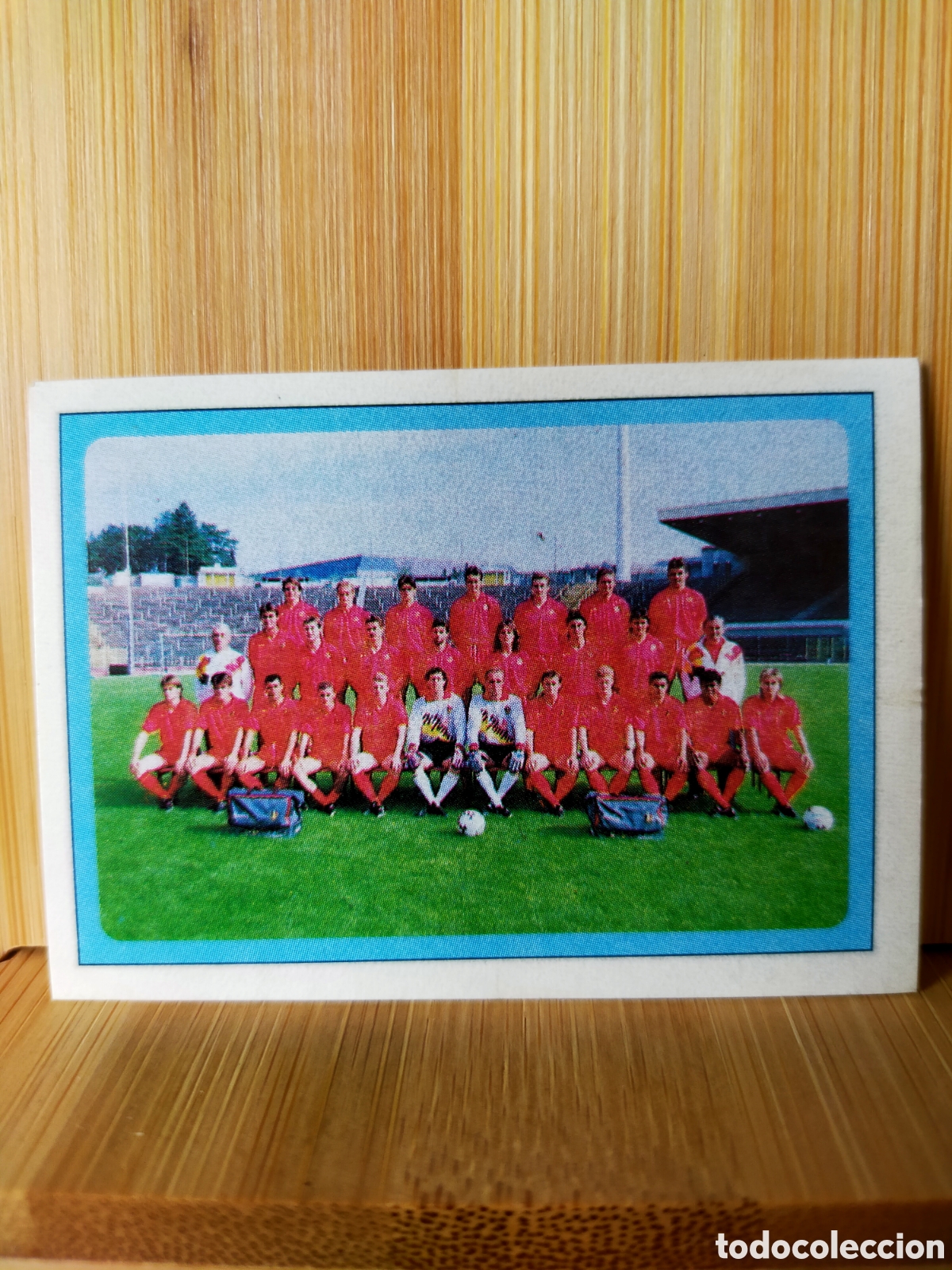 Fu&szlig;ball-Sticker: 1994 CROMO NUNCA PEGADO EDICIONES ESTADIO MUNDIAL USA 94 BELGICA EQUIPO N 48
