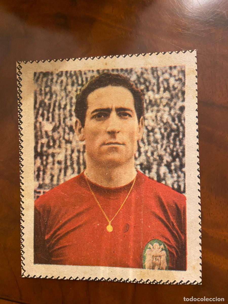 gento oliman correcto como se ve