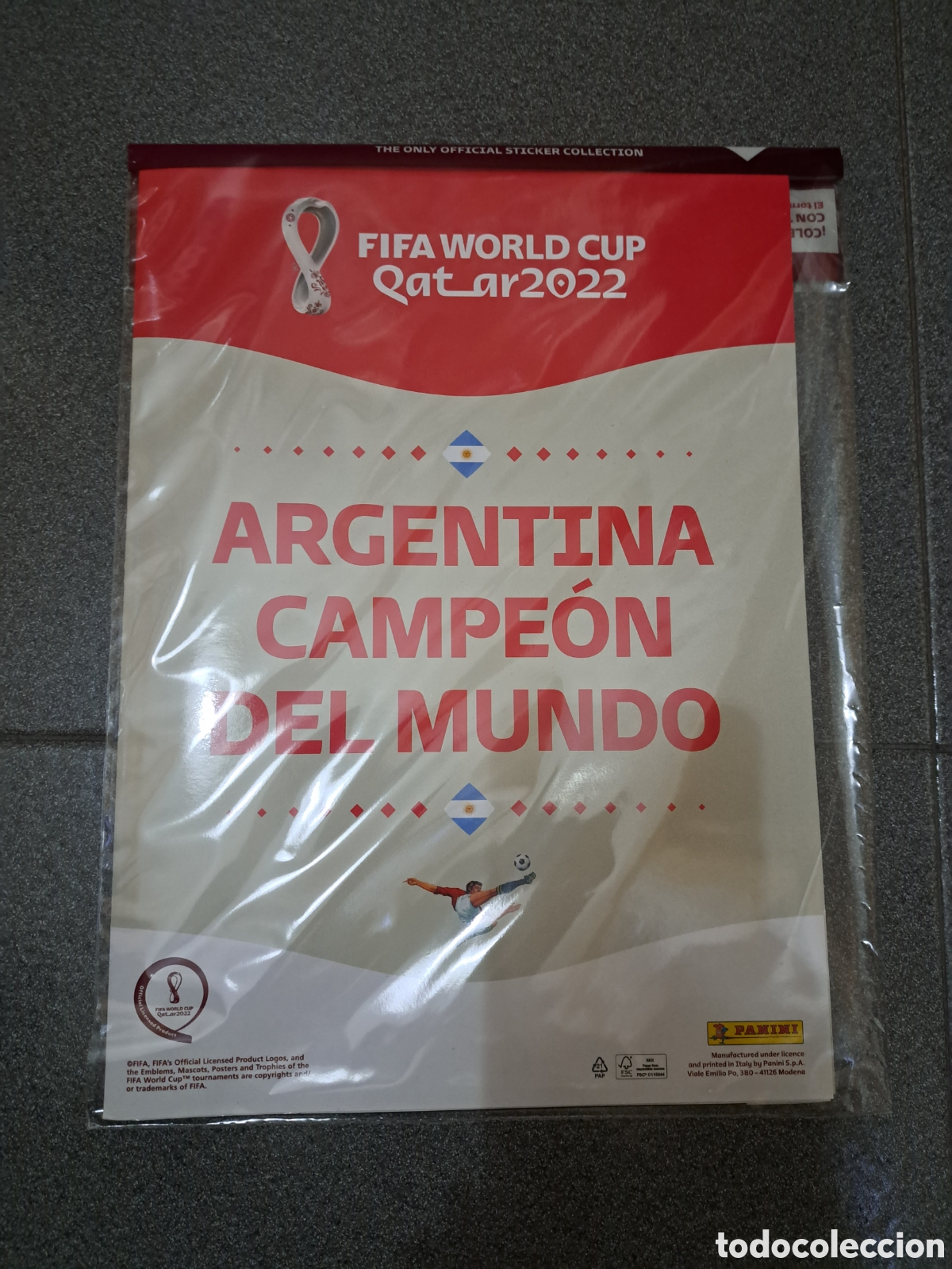 ARGENTINA WINS THE 2022 WORLD CUP 19”x13” COMMEMORATIVE POSTER