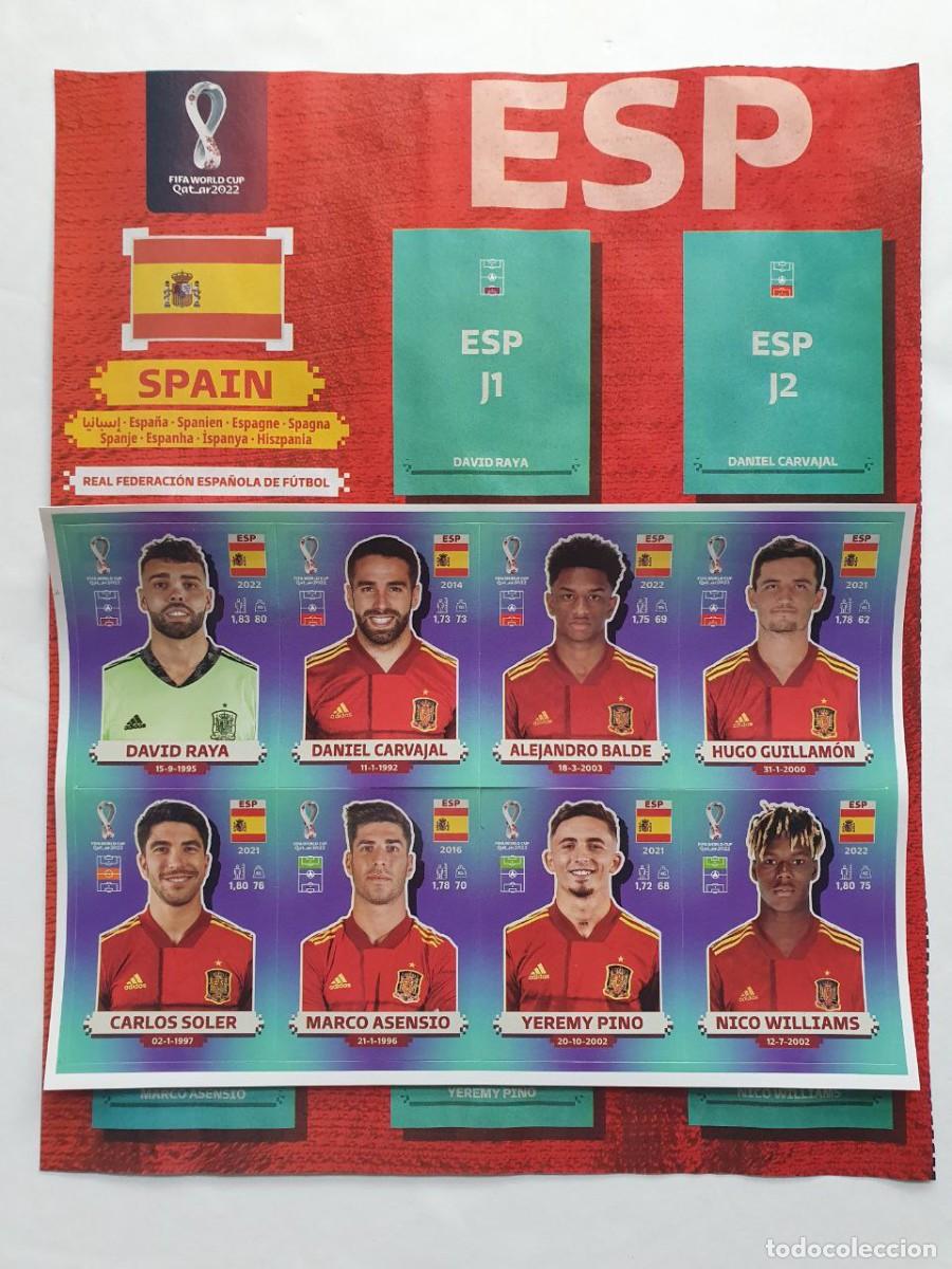 Football Stickers: L&aacute;mina 8 STICKER + Hoja Actualizaci&oacute;n ESPA&Ntilde;A - Panini FIFA World Cup QATAR 2022 Raya-Carvajal-Willia