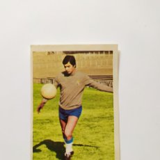 Cromos de Fútbol: CAMPEONATO LIGA 1975 1976 75 76 FHER BLANCH ESPANYOL SIN PEGAR. Lote 401603779