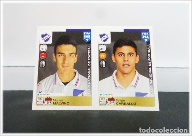 Cromos de Futebol: FIFA 365 2015 2016 15 16 PANINI STICKER MALVINO FELIPE CARBALLO 798 799 NACIONAL COLECCI&Oacute;N ALBUM