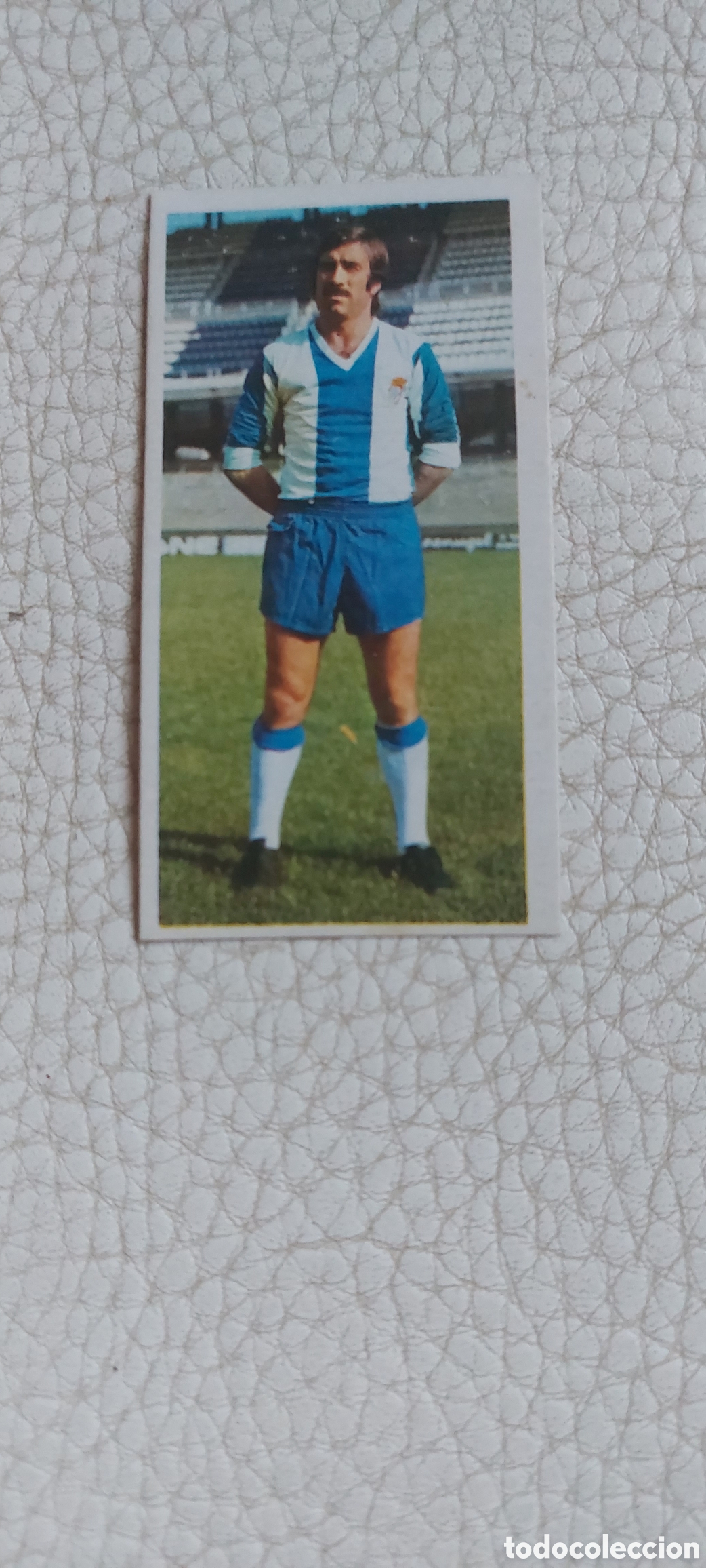 Cromos de f&uacute;tbol: Granero espa&ntilde;ol 75/76 - Foto 1