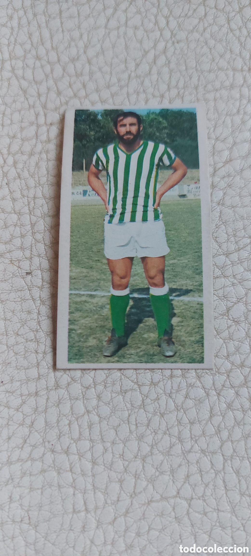 Cromos de f&uacute;tbol: Sabate betis 75/76 - Foto 1