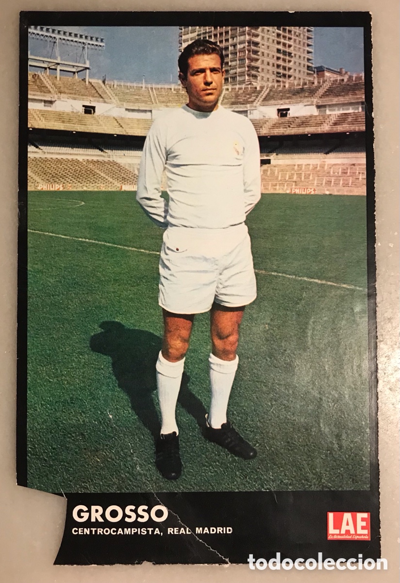 Fu&szlig;ball-Sticker: Cromo l&aacute;mina de f&uacute;tbol Grosso Real Madrid . Revista Actualidad
