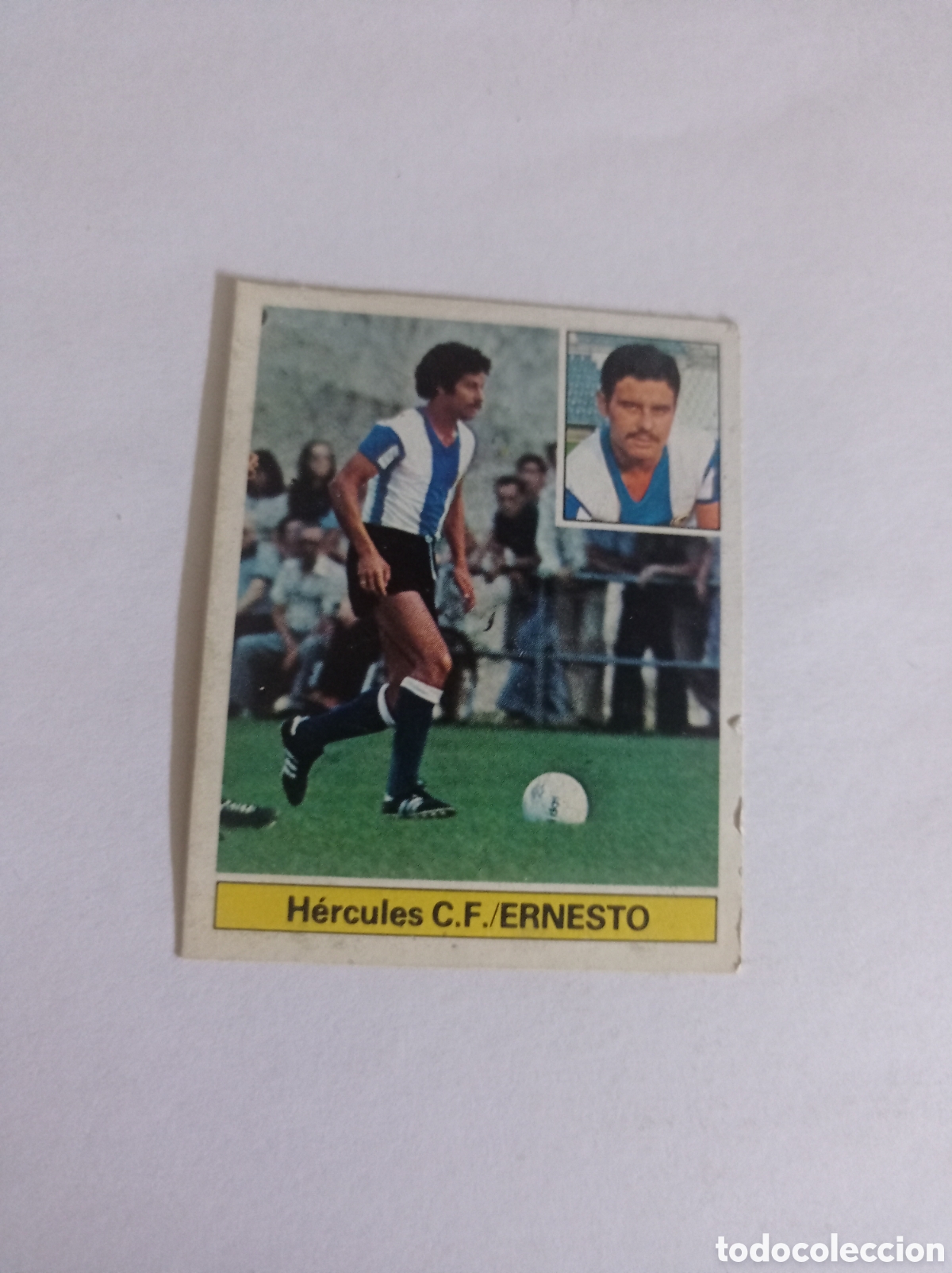 Cromos de F&uacute;tbol: ERNESTO H&Eacute;RCULES LIGA ESTE 1981/82 81 82 DESPEGADO