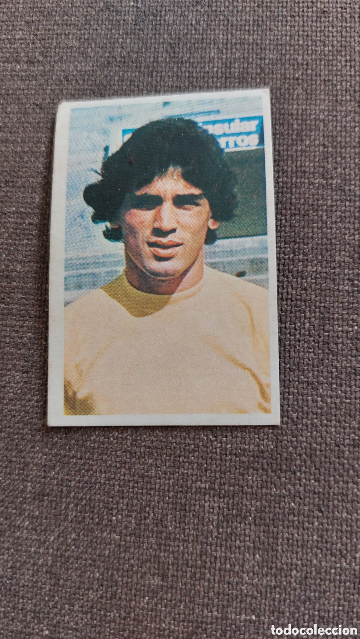 Cromos de f&uacute;tbol: Juani sin pegar las palmas 76/77 - Foto 1
