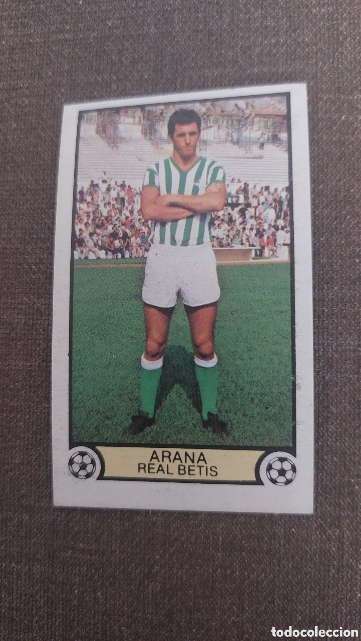 Cromos de f&uacute;tbol: Arana betis 79/80 - Foto 1