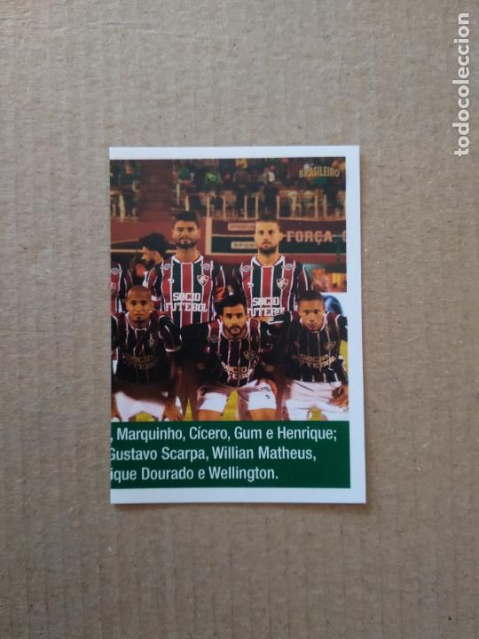 Cromos de Futebol: Y55 EQUIPO PLANTILLA FLUMINENSE CROMO PANINI LIGA BRASIL FUTBOL BRASILEIRO 2016