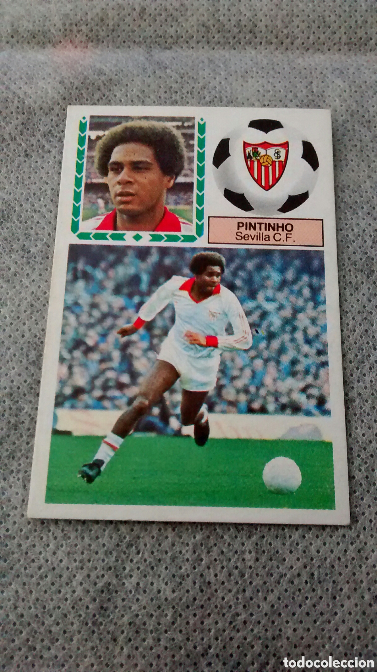 Cromos de f&uacute;tbol: PINTINHO ESTE 83 84 (A1) - Foto 1