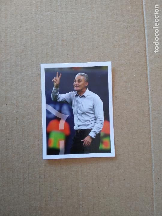Football Stickers: 5 TITE CROMO FUTBOL PANINI NOSSA SELE&Ccedil;AO RUMO AO QATAR SELECCI&Oacute;N BRASIL RUMBO AL MUNDIAL