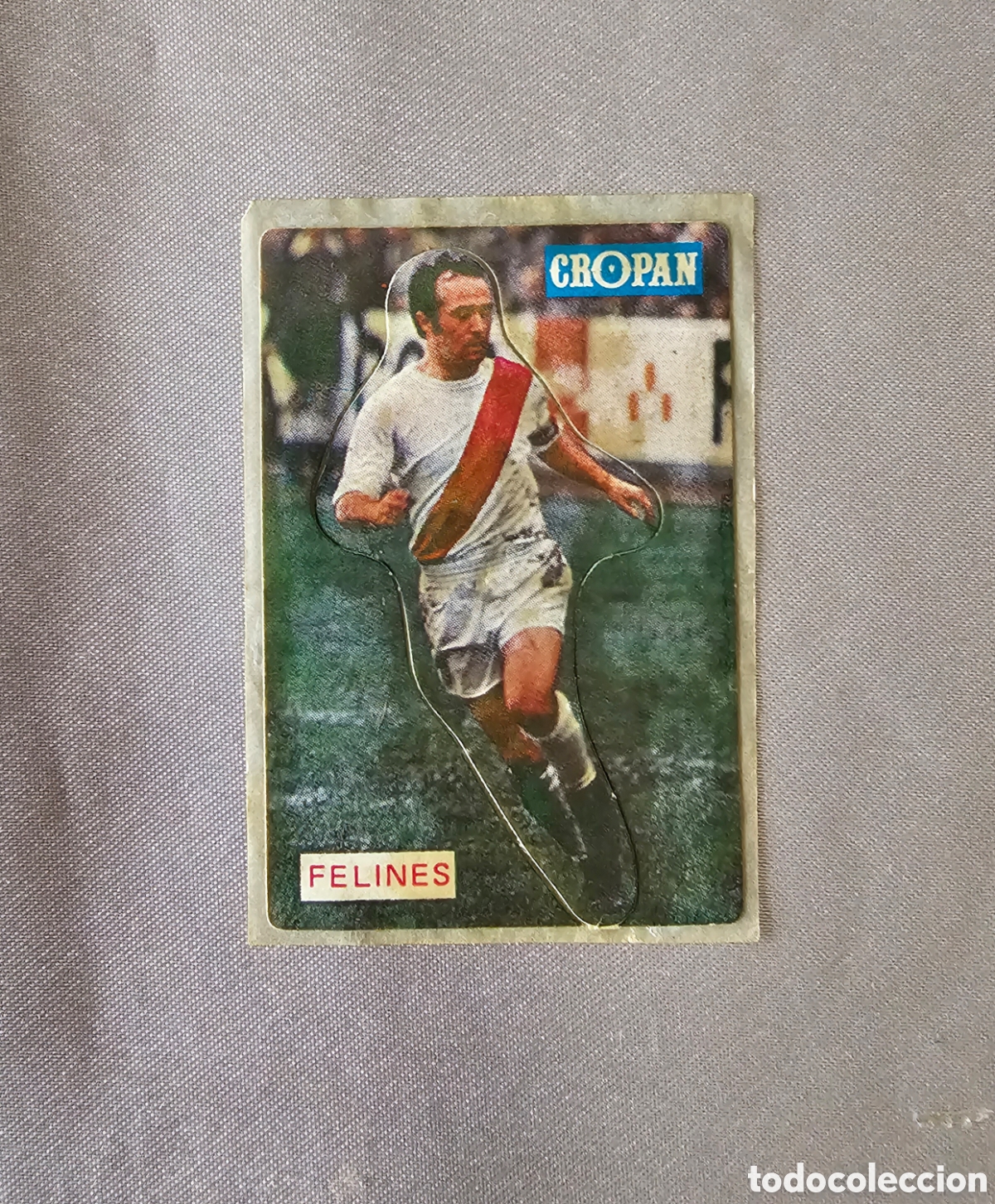 Cromos de F&uacute;tbol: CROMO FUTBOL&nbsp;FELINES CROPAN