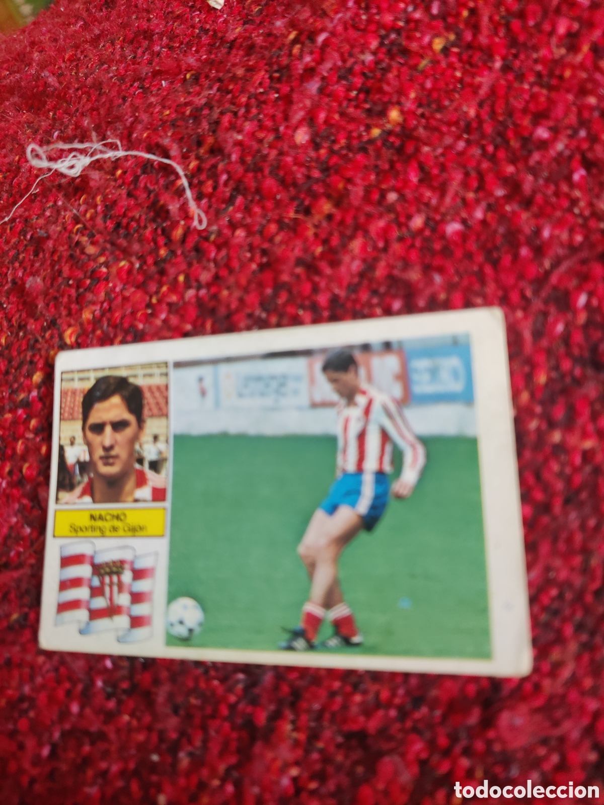 Cromos de f&uacute;tbol: Naci&oacute; Sporting de Gij&oacute;n este 1982 1983 82 83 - Foto 1