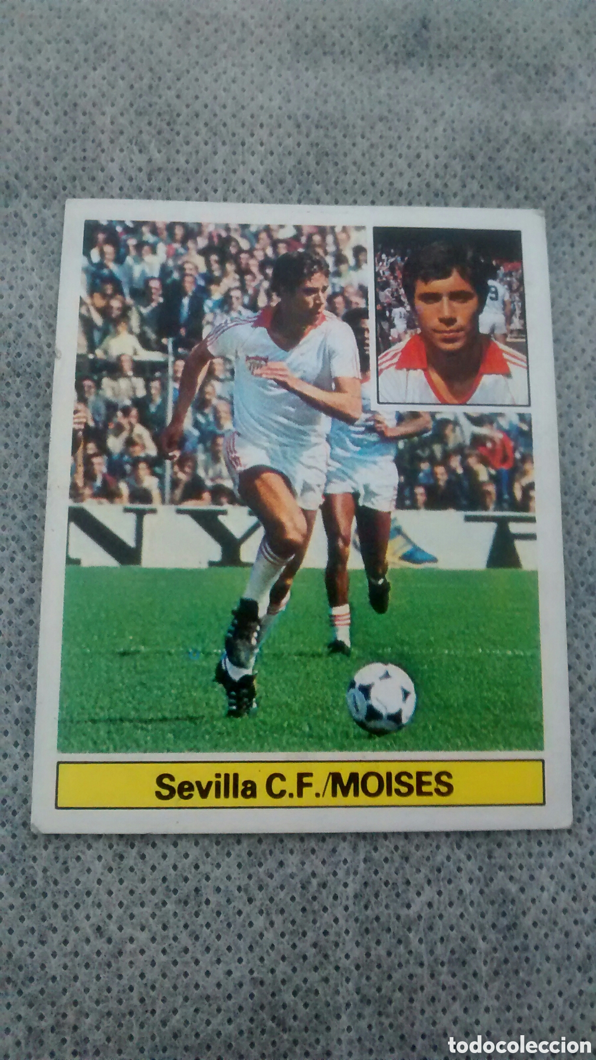 Cromos de f&uacute;tbol: 81 82 1981 1982 ESTE MOISES, SEVILLA - Foto 1