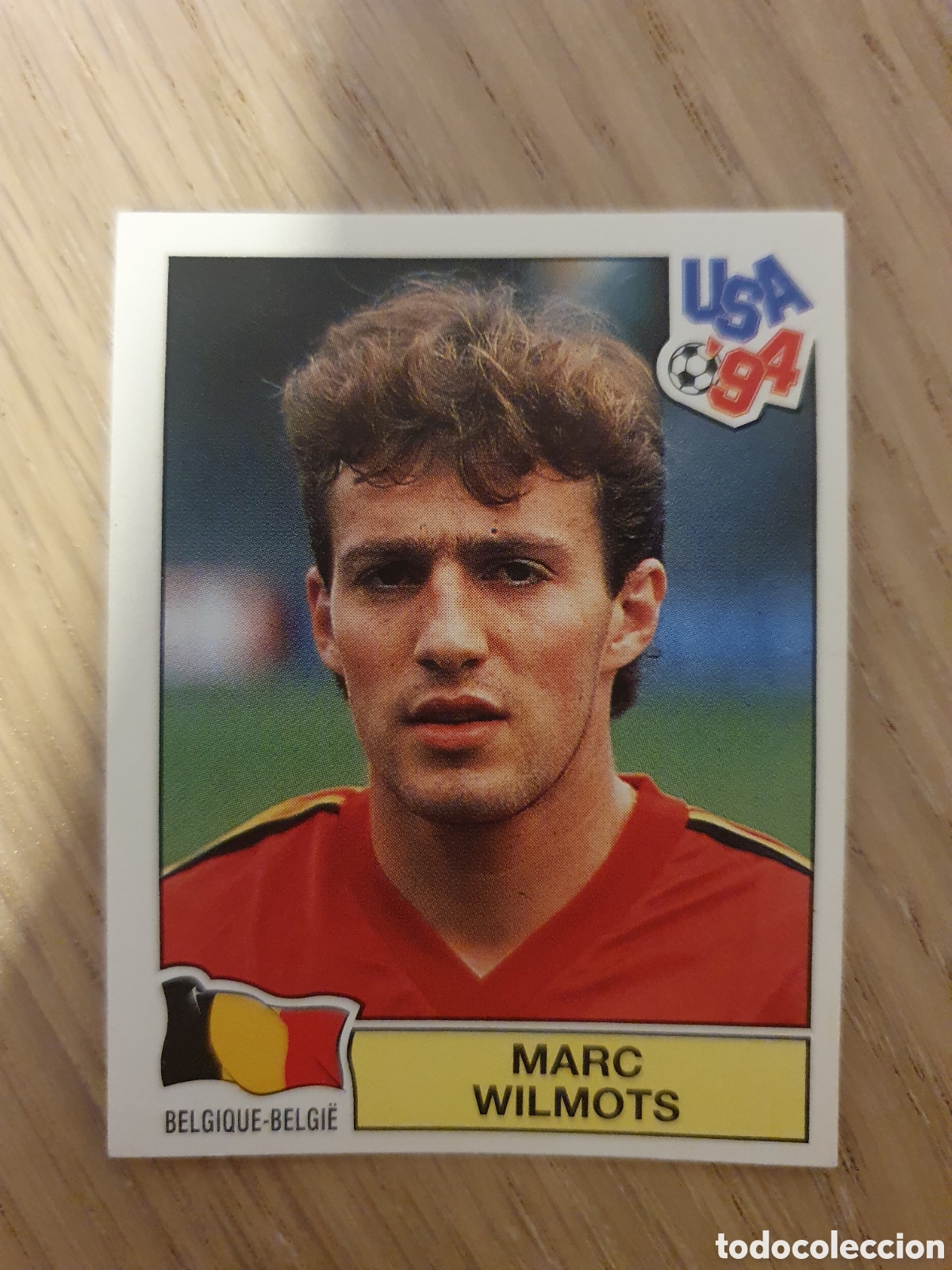 Cromos de f&uacute;tbol: Cromo panini, mundial 1994 - Foto 1